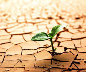 مقایسه ساکشن برقی با ساکشن آبی: